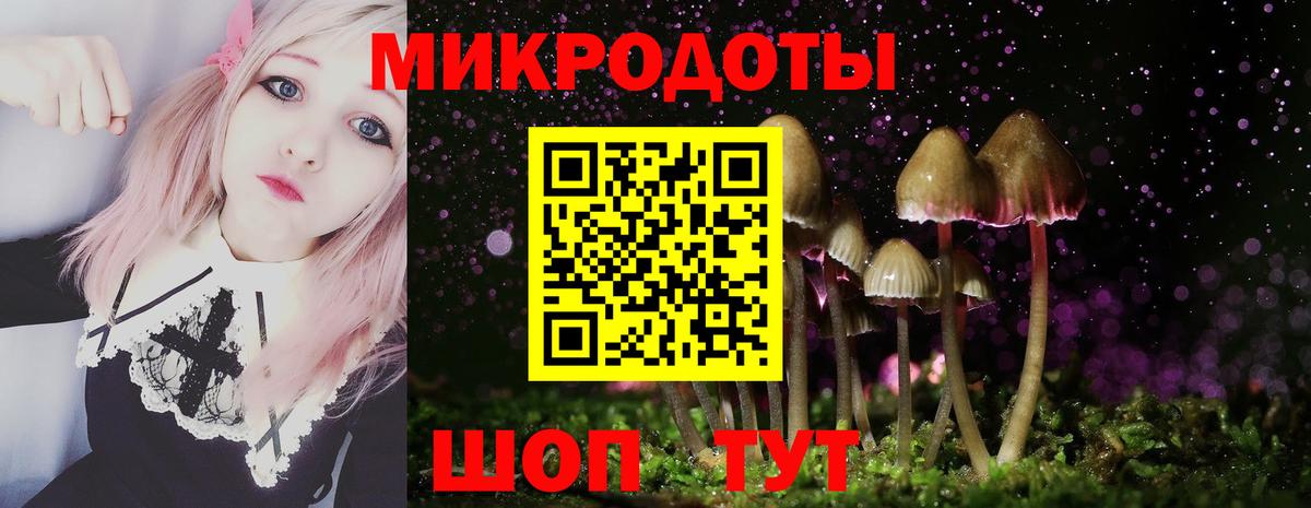 закладки  Псилоцибиновые грибы Magic Shrooms  Вход с VPN  Елабуга 